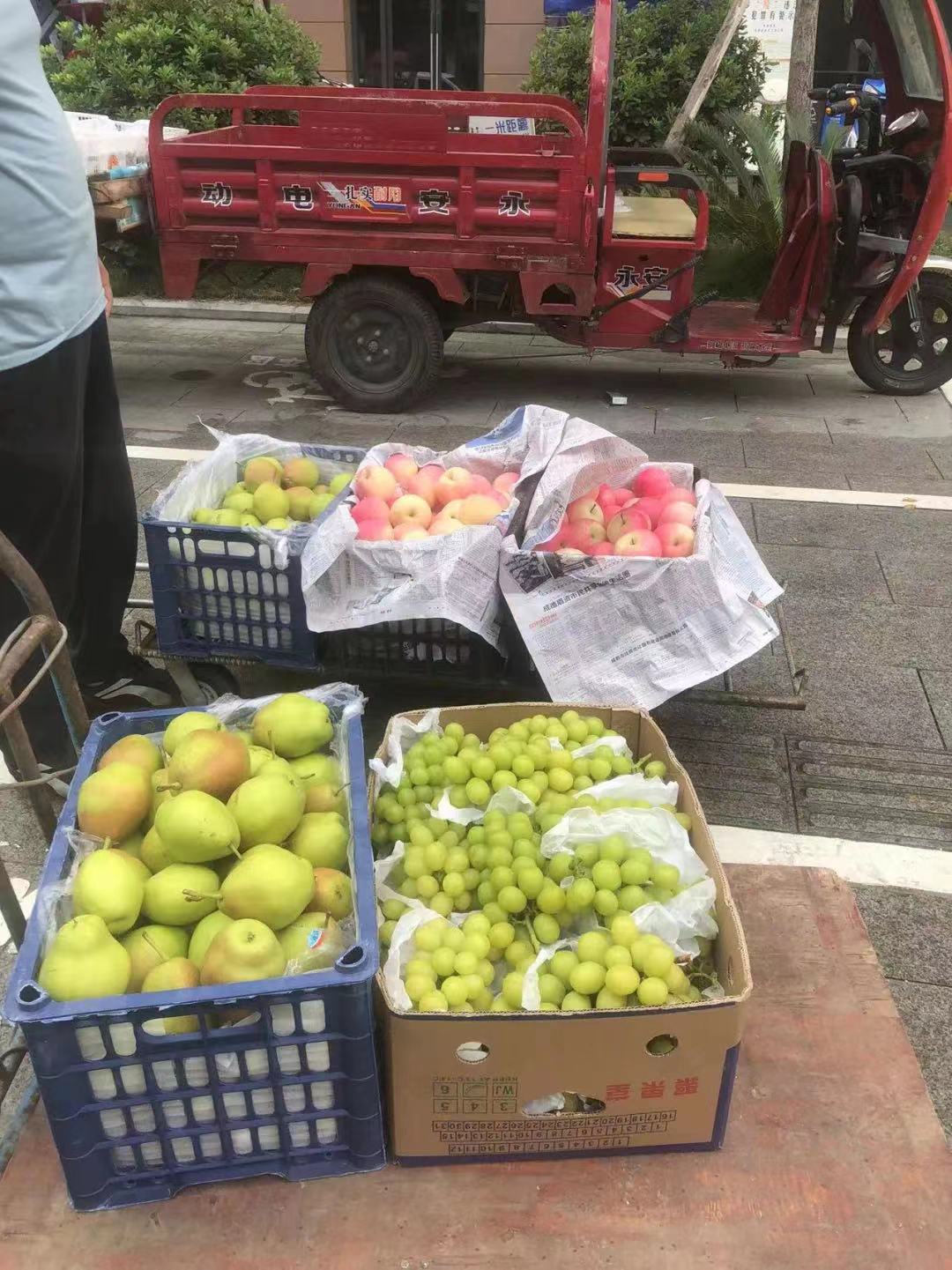 WechatIMG94 WechatIMG94